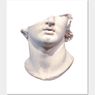 Half head of Greek sculpture Posters and Art